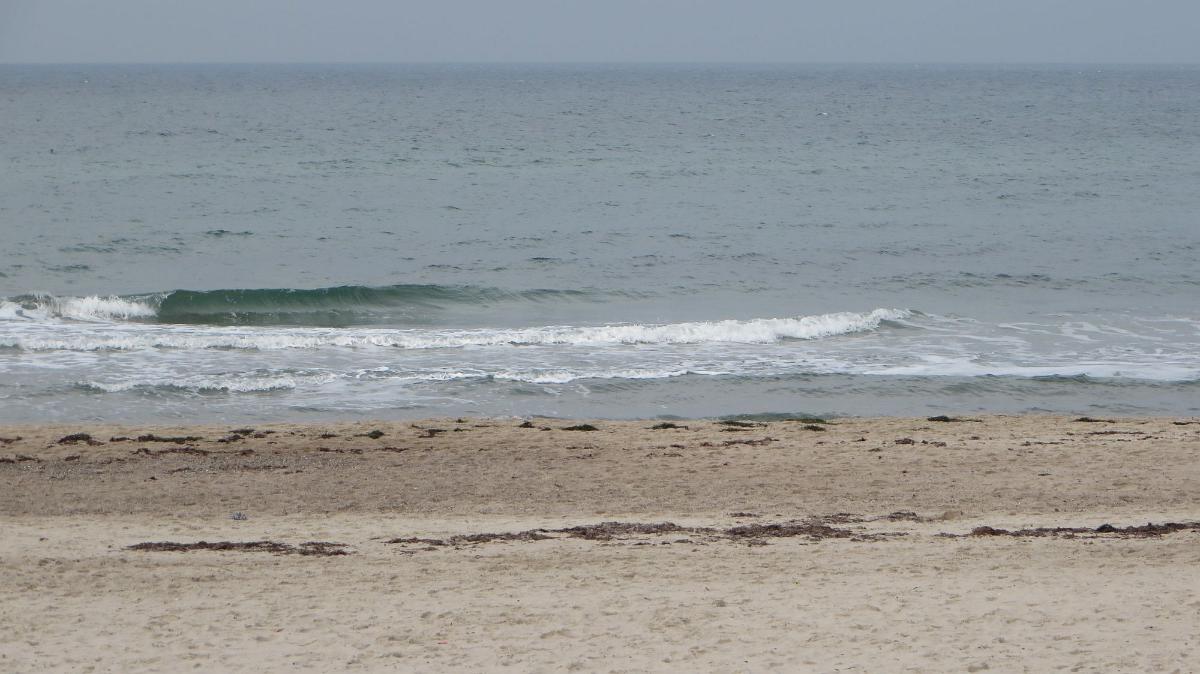 IMG 0129