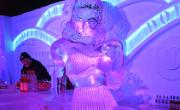 IMG 0209