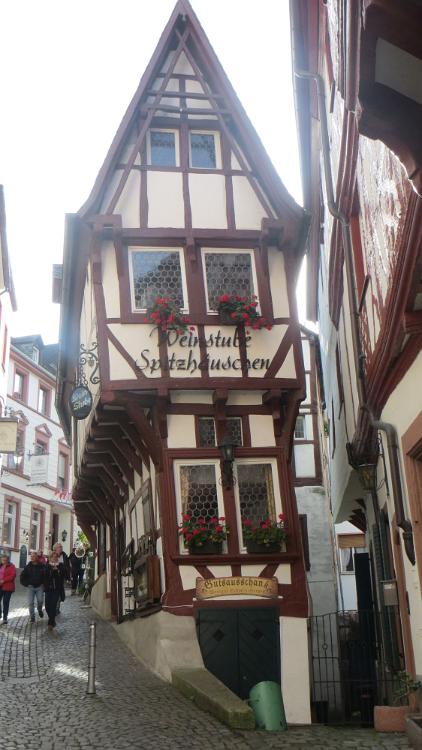 Trier- (103)