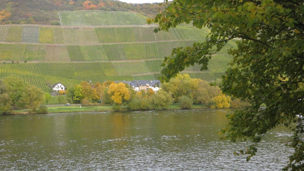 Trier- (145)