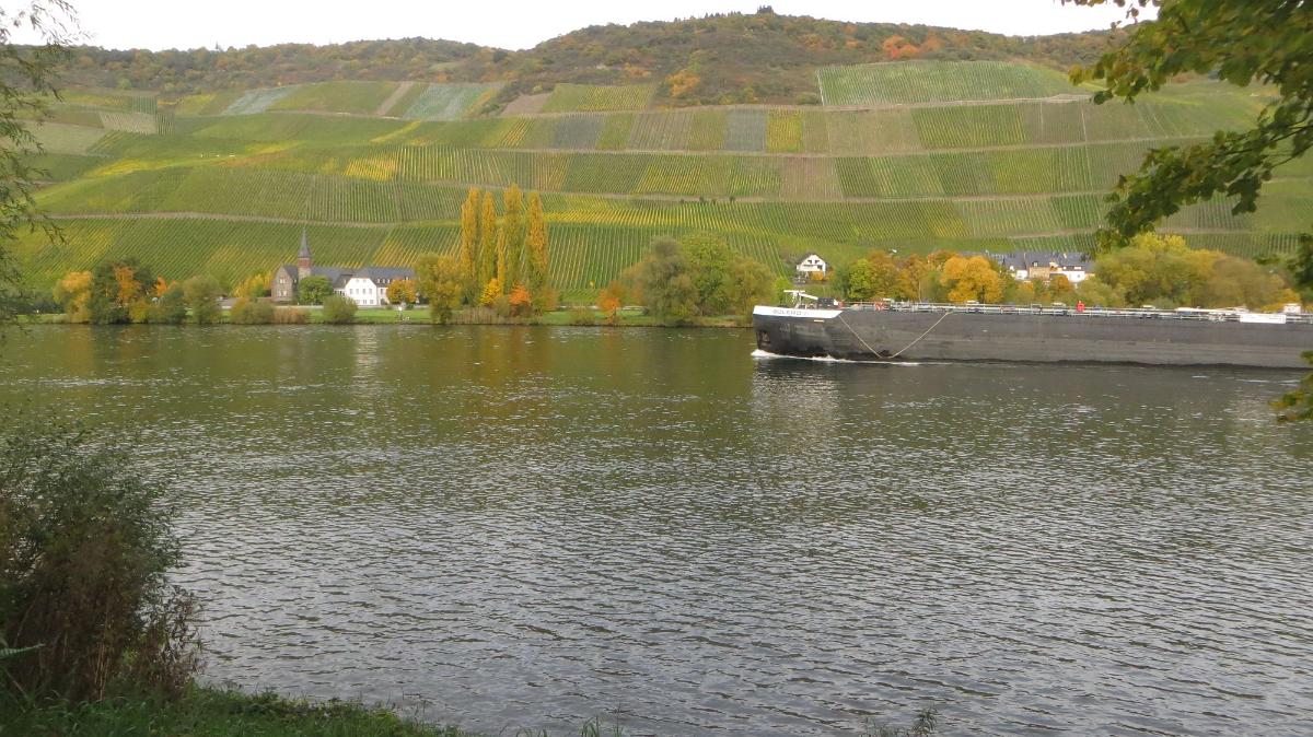 Trier- (146)