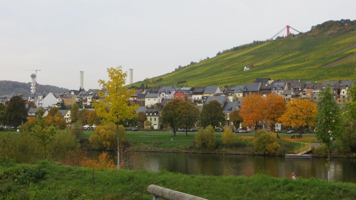 Trier- (150)