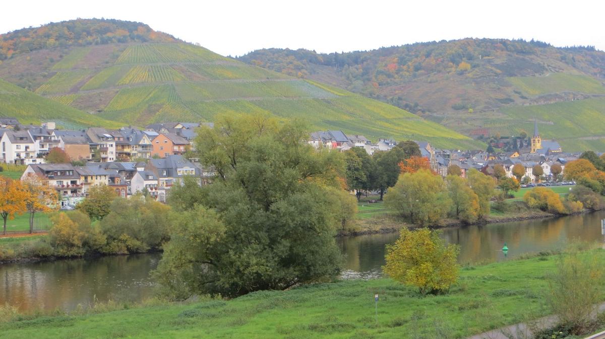 Trier- (153)