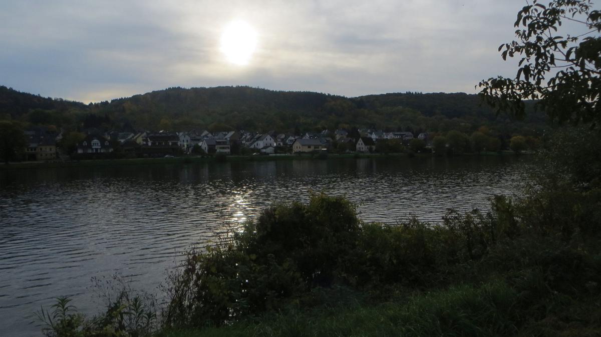Trier- (161)