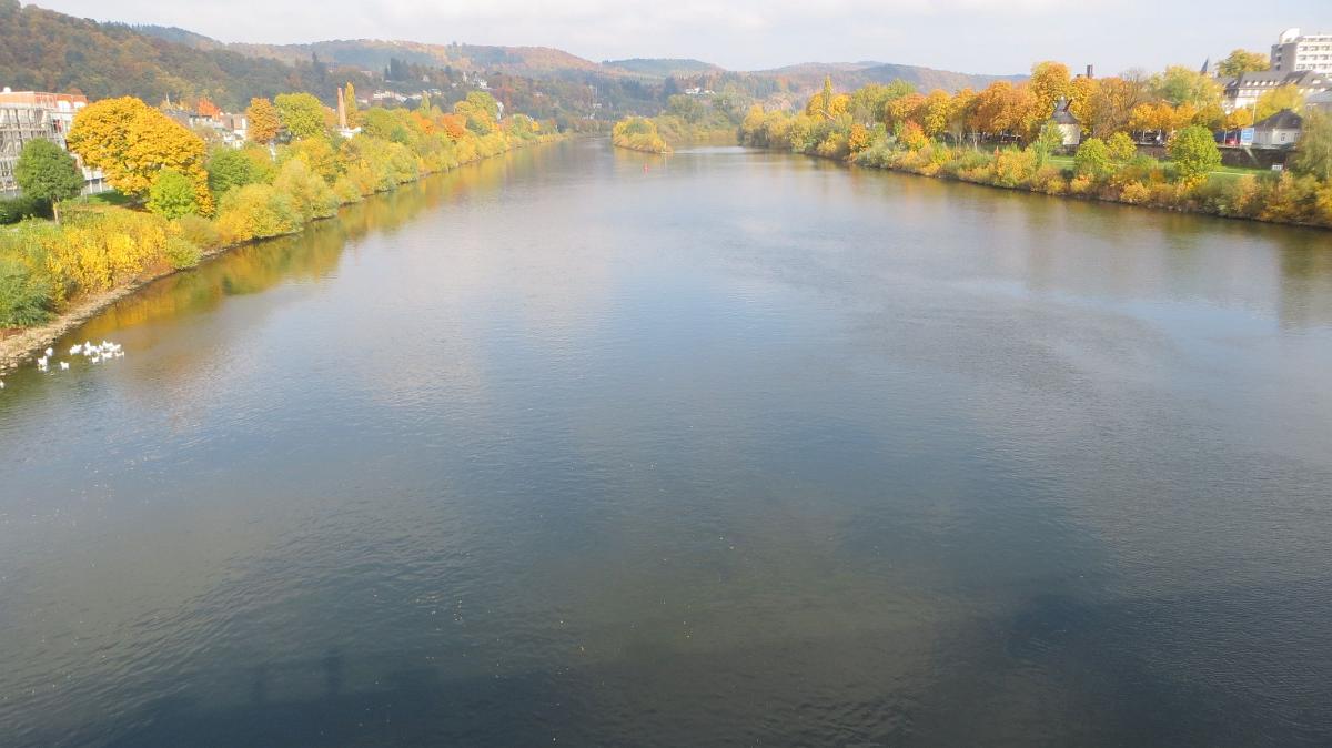 Trier- (211)