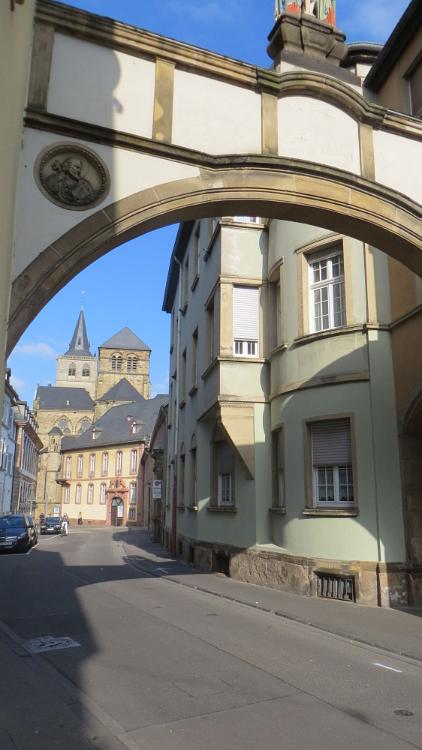 Trier- (247)