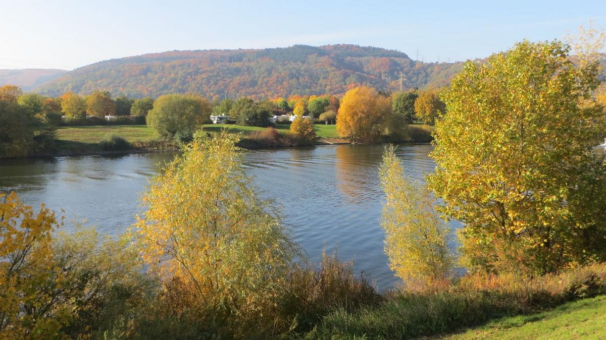 Trier- (258)