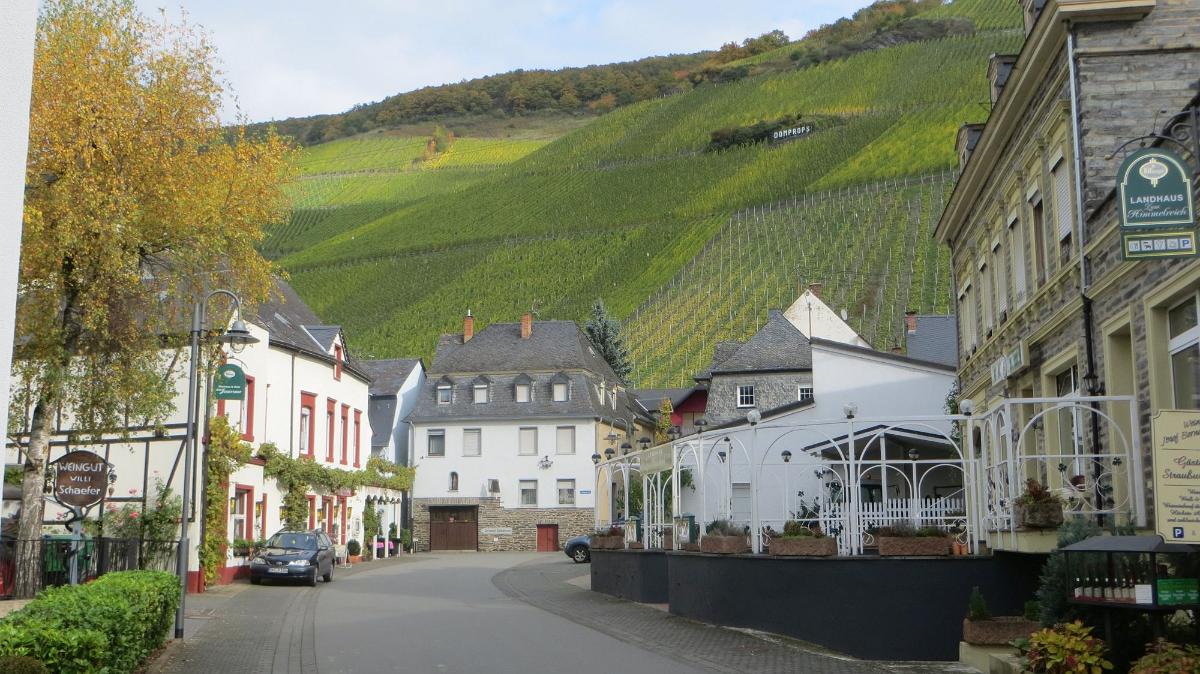 Trier- (36)