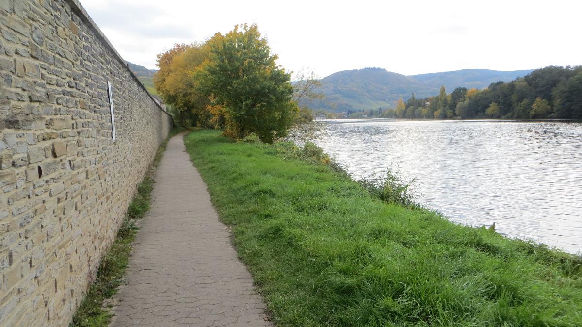 Trier- (40)