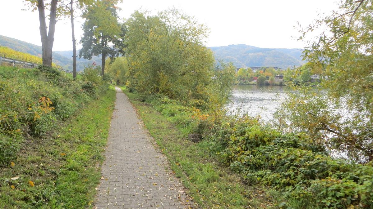 Trier- (41)
