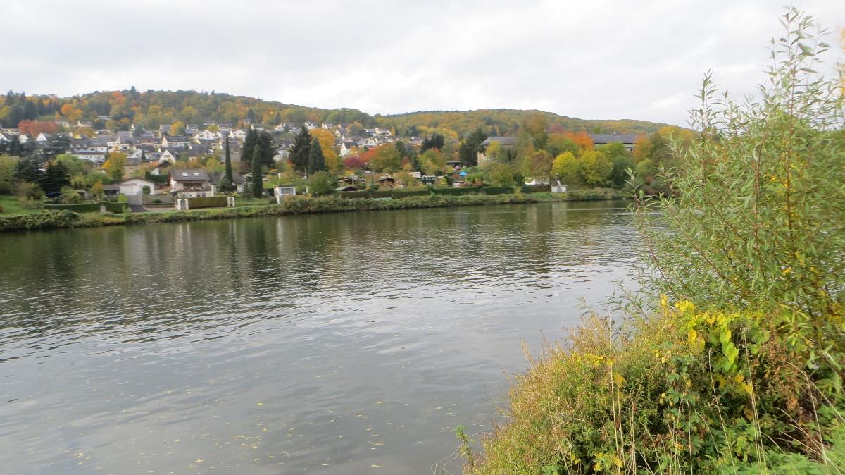 Trier- (42)