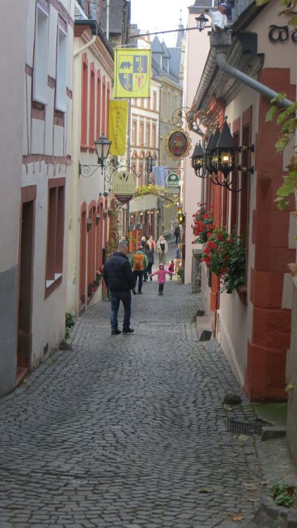Trier- (53)