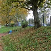 Trier- (185)