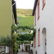 Trier- (20)