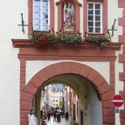 Trier- (50)