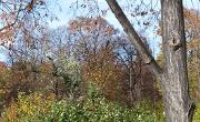 IMG 3379