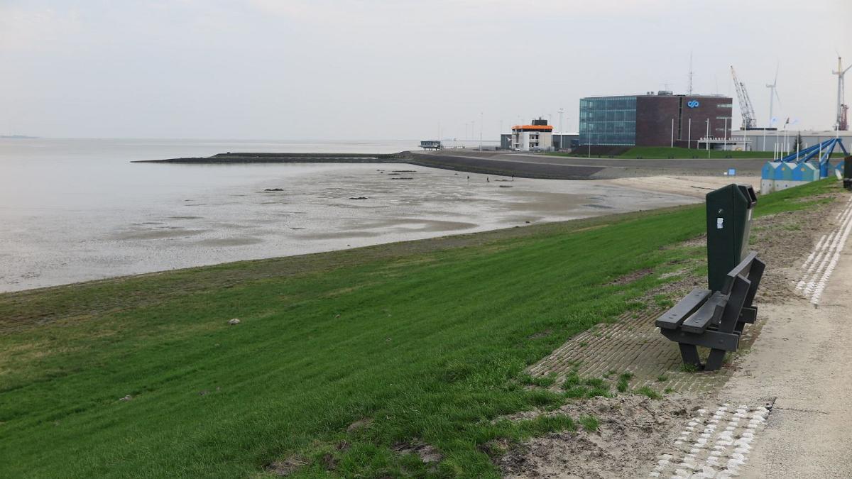 IMG 3775