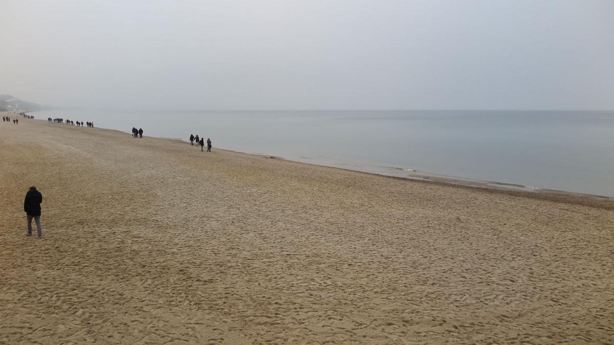 IMG 4061