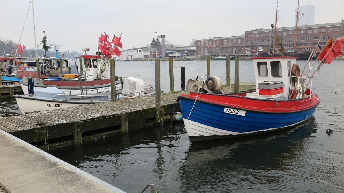 IMG 4090