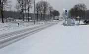 IMG 4106