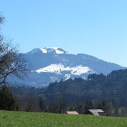 IMG 4458