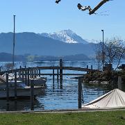 IMG 4517