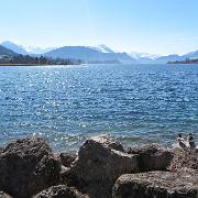 IMG 4531