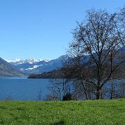 IMG 4586