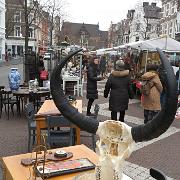 IMG 4312