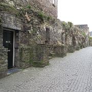 IMG 4355