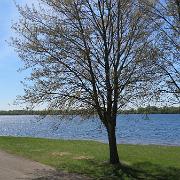 IMG 5142