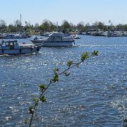 IMG 5152
