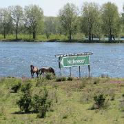 IMG 5159