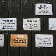 IMG 5308