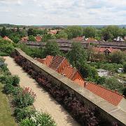 IMG 5374