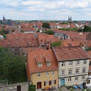 IMG 5382