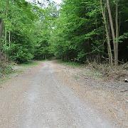 IMG 5411