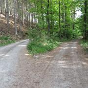 IMG 5415