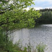 IMG 5418