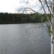 IMG 5420