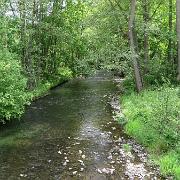 IMG 5474