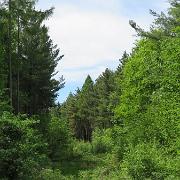 IMG 5479