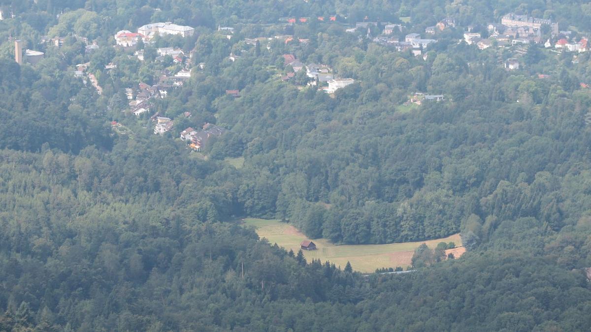 IMG 6715