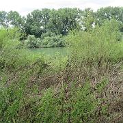 IMG 6864