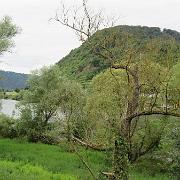 IMG 6507