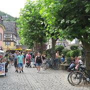 IMG 6536