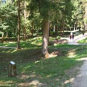 IMG 7084
