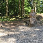 IMG 7085