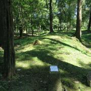 IMG 7087