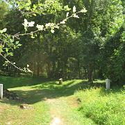 IMG 7119